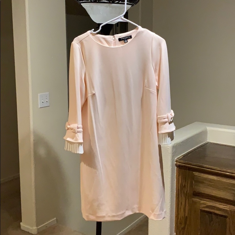 Sharagano blush dress. Great for work!